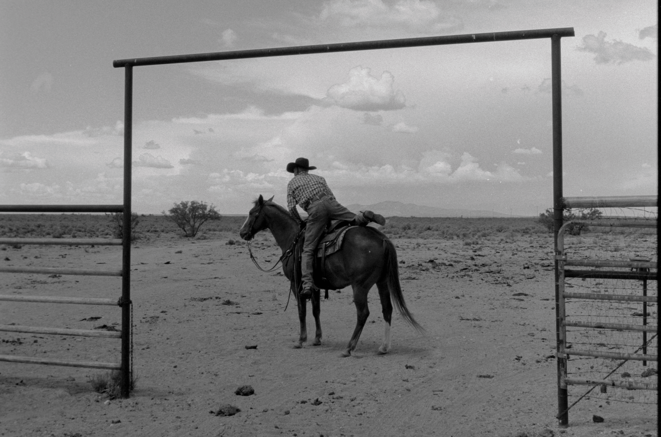 Loyalty Program